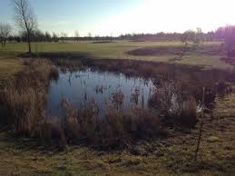 Image result for South Kyme Golf Club