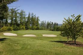 Image result for Carrickfergus Golf Club