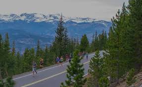 Image result for Harwich Runners