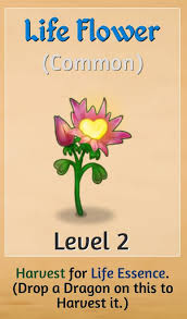 Image result for life flower