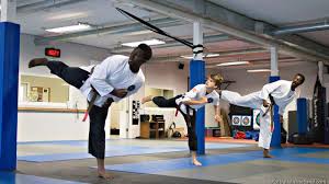 Image result for Beeches Martial Arts