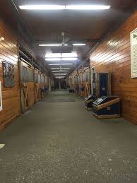 Image result for Annandale Equestrian Centre