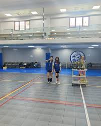 Image result for Bucks Schools Junior Badminton Club