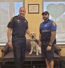 Image result for Hartford Sog