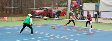 Image result for 1st New Forest Pickleball Club