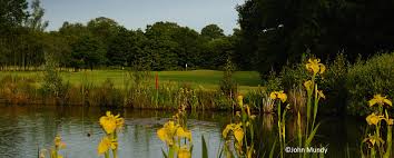 Image result for Chobham Golf Club