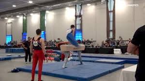 Image result for East Staffs Gymnastics Club