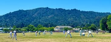 Image result for Marnhull Cricket Club