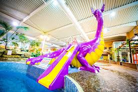 Image result for City Of Leicester Swimming Club