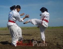 Image result for Silat Perisai Diri Classes Club