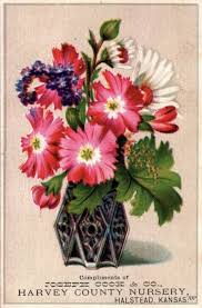 Image result for Halstead Cyclones