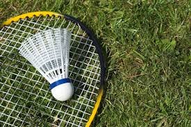 Image result for Welwyn Badminton Club