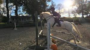 Image result for Lower Farm Stables