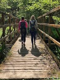 Image result for Ramblers Association - Mole Valley Group