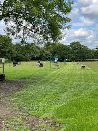 Image result for Newdigate Clays