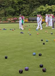 Image result for RHP (Chelmsford) Bowls Club