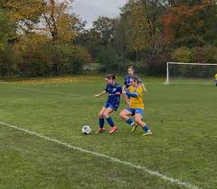 Image result for Cheadle & Gatley F C