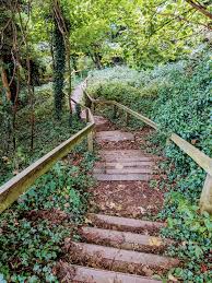 Image result for Dearne Valley Devils