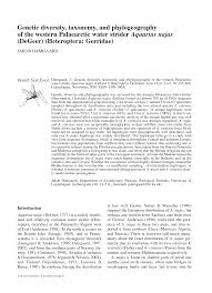 Attēlu rezultāti vaicājumam “Aquarius najas”