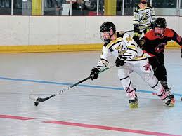 Image result for Adur Skater Hockey Club