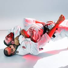 Image result for Brazilian-martial arts