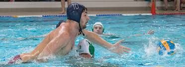 Image result for West London Penquin Swimming & Water Polo Club