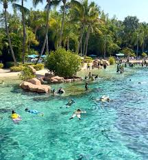 Image result for Discover Swimming