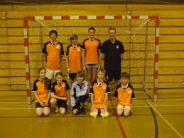 Image result for Deva Handball Club