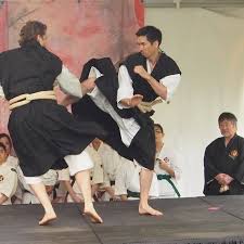 Image result for Winchester Shorinji Kempo Club