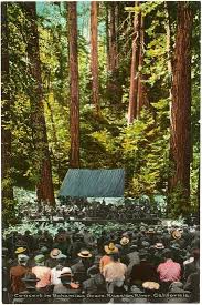 Image result for bohemian grove