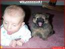 Wazzup.jpg