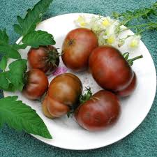 Afbeeldingsresultaat voor black brandywine tomato