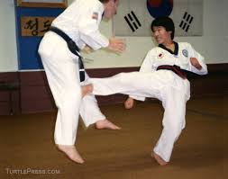 Image result for Tkd Self Defense