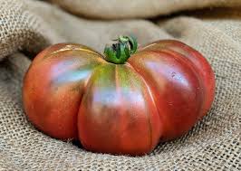 Afbeeldingsresultaat voor 1884 purple tomato