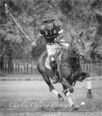 Image result for Cambridge and Newmarket Polo Club