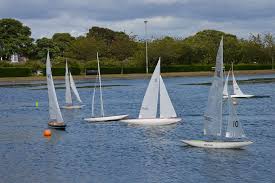 Image result for Dundee Sailing Club