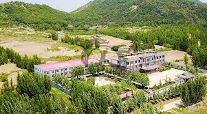 Image result for Shaolin Ancestors kung Fu School