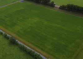 Image result for Clonmore Gfc