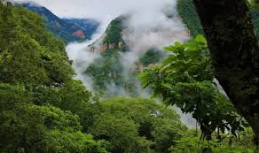 Výsledek obrázku pro yungas