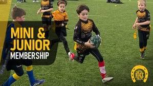 Image result for WOODRUSH RFC MINI and JUNIOR ~ & Senior