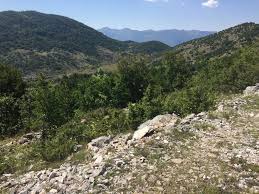 Attēlu rezultāti vaicājumam “Satyrium pruni underside”