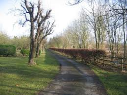 Image result for Alcester & Ragley CC