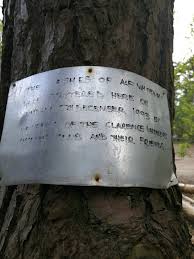 Image result for Clarence Wheelers Cycling Club