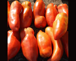 Afbeeldingsresultaat voor belarus orange tomato