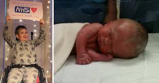 Image result for no brain