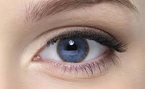 Kuvahaun tulos haulle Kayser-Fleischer