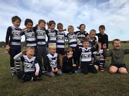 Image result for Royston Rufc