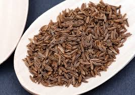 Image result for Carum carvi