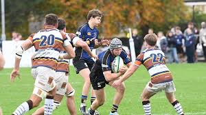 Image result for Hertford Rugby Football Club