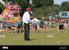 Image result for Weybridge Vandals Rugby Club